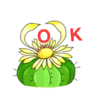Daily Life of Succulent Plants（個別スタンプ：7）