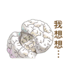 Daily Life of Succulent Plants（個別スタンプ：13）
