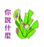 Daily Life of Succulent Plants（個別スタンプ：15）