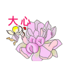 Daily Life of Succulent Plants（個別スタンプ：17）