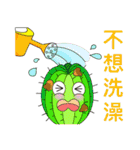 Daily Life of Succulent Plants（個別スタンプ：23）