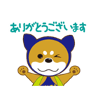 WanBOBO-Shiba（個別スタンプ：6）