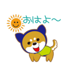 WanBOBO-Shiba（個別スタンプ：38）