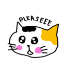 Calico cat and friends（個別スタンプ：14）