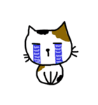 Calico cat and friends（個別スタンプ：29）