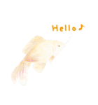 クピちゃん（個別スタンプ：34）
