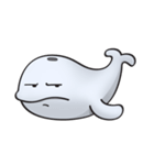 Poco the whale（個別スタンプ：16）