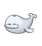 Poco the whale（個別スタンプ：40）