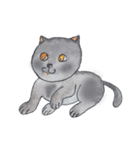 LuckyCat Gang（個別スタンプ：20）