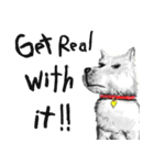 The pondering dog（個別スタンプ：23）