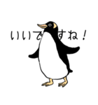 丁寧なペンギンさん。（個別スタンプ：13）