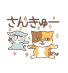 ネコでごめん〜おどけるブサ猫 デカ文字〜（個別スタンプ：11）