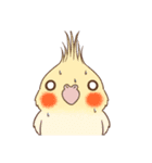 Bird masters（個別スタンプ：5）