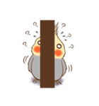 Bird masters（個別スタンプ：10）