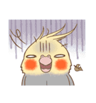Bird masters（個別スタンプ：11）