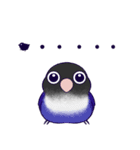 Bird masters（個別スタンプ：22）