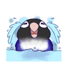 Bird masters（個別スタンプ：25）