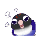 Bird masters（個別スタンプ：32）