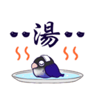 Bird masters（個別スタンプ：35）