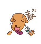 doctor Dog and two of nurses（個別スタンプ：28）