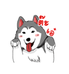 Peakpoon（個別スタンプ：1）