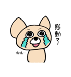 ポコ犬（個別スタンプ：16）