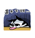 BEI ＆ SHA Coming PART2（個別スタンプ：38）