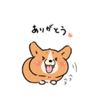 コーギー犬 ○（個別スタンプ：5）