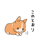 コーギー犬 ○（個別スタンプ：6）