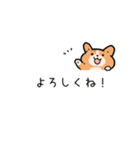 コーギー犬 ○（個別スタンプ：9）