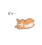 コーギー犬 ○（個別スタンプ：25）