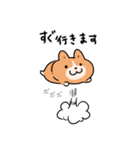 コーギー犬 ○（個別スタンプ：31）