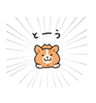 コーギー犬 ○（個別スタンプ：34）