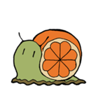 オレンジマイマイ（個別スタンプ：1）