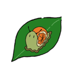 オレンジマイマイ（個別スタンプ：6）