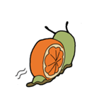オレンジマイマイ（個別スタンプ：9）