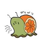 オレンジマイマイ（個別スタンプ：36）