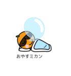 グラサンしろー6 【吹き出しダジャレ編】（個別スタンプ：4）