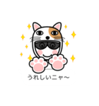 グラサンしろー6 【吹き出しダジャレ編】（個別スタンプ：29）