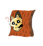Peter Raccoon（個別スタンプ：11）