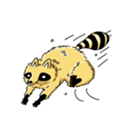 Peter Raccoon（個別スタンプ：18）