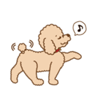 Poodle Doodle（個別スタンプ：7）