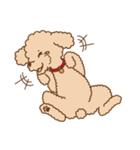 Poodle Doodle（個別スタンプ：14）
