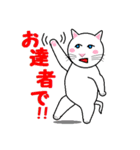 とってもあかるい白ねこ家族（個別スタンプ：20）