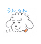 トイプーとシュナウザー（個別スタンプ：17）