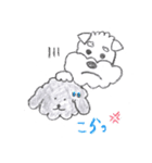 トイプーとシュナウザー（個別スタンプ：22）