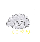 トイプーとシュナウザー（個別スタンプ：28）