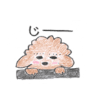 トイプーとシュナウザー（個別スタンプ：33）