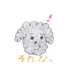 トイプーとシュナウザー（個別スタンプ：40）