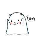 Polar cat（個別スタンプ：19）